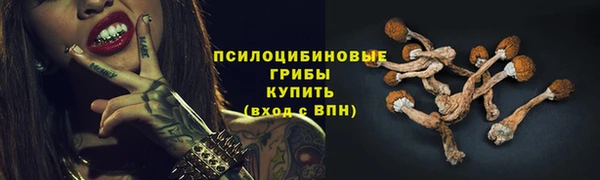 соль курить ск Алексеевка