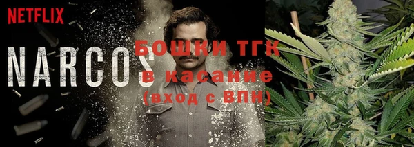 первитин Новодвинск